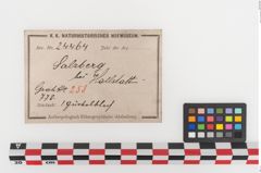 Etiketten zu Bronzegürtelblech (NHMW-PRAE-024464)